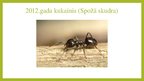 Prezentācija 'Gada dzīvnieki Latvijā', 10.