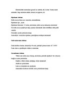 Prakses atskaite 'Aprūpes plāns reimatoloģijā', 6.