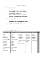 Prakses atskaite 'Aprūpes plāns reimatoloģijā', 8.