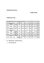 Prakses atskaite 'Aprūpes plāns reimatoloģijā', 9.