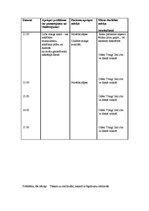 Prakses atskaite 'Aprūpes plāns reimatoloģijā', 16.