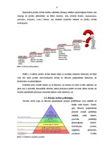 Diplomdarbs 'Uzvedības atšķirību izpēte dažādās patērētāju grupās', 9.