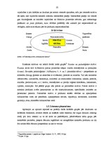 Diplomdarbs 'Uzvedības atšķirību izpēte dažādās patērētāju grupās', 10.