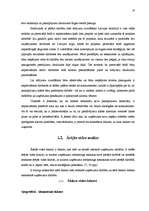 Diplomdarbs 'Mārketinga komunikāciju sistēma uzņēmumā', 10.