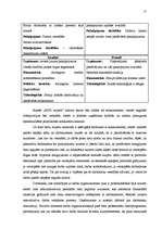 Diplomdarbs 'Mārketinga komunikāciju sistēma uzņēmumā', 25.