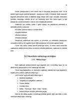 Diplomdarbs 'Mārketinga komunikāciju sistēma uzņēmumā', 30.