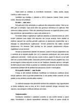 Diplomdarbs 'Mārketinga komunikāciju sistēma uzņēmumā', 40.