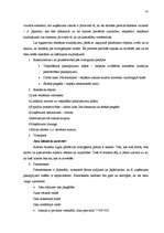 Diplomdarbs 'Mārketinga komunikāciju sistēma uzņēmumā', 41.