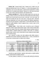 Diplomdarbs 'Mārketinga komunikāciju sistēma uzņēmumā', 43.