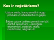 Prezentācija 'Veģetārisms', 2.
