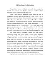 Referāts 'Eiro kā jaunas naudas vienības vispārīgs raksturojums', 5.