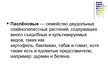 Prezentācija 'Паслёновые', 2.
