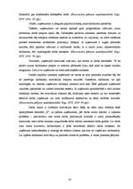 Diplomdarbs 'Motivēšanas pilnveides iespējas uzņēmumā "X" darba efektivitātes paaugstināšanas', 38.