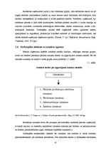 Diplomdarbs 'Motivēšanas pilnveides iespējas uzņēmumā "X" darba efektivitātes paaugstināšanas', 41.