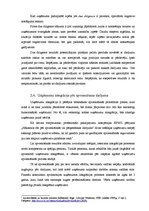 Diplomdarbs 'Uzņēmumu apvienošanās', 44.