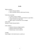 Referāts 'Reitterapija Latvijā', 3.