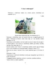 Referāts 'Reitterapija Latvijā', 6.