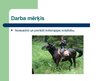 Referāts 'Reitterapija Latvijā', 26.