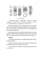 Referāts 'Pārbaudes darbs Ūdens un kanalizācija', 6.