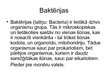 Prezentācija 'Baktērijas', 4.
