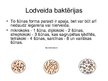 Prezentācija 'Baktērijas', 9.