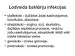 Prezentācija 'Baktērijas', 10.