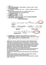 Diplomdarbs 'Trenera diplomprojekts stepaerobikā', 12.