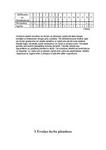 Diplomdarbs 'Trenera diplomprojekts stepaerobikā', 23.