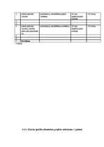 Diplomdarbs 'Trenera diplomprojekts stepaerobikā', 29.