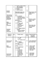 Diplomdarbs 'Trenera diplomprojekts stepaerobikā', 33.