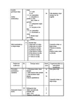 Diplomdarbs 'Trenera diplomprojekts stepaerobikā', 39.