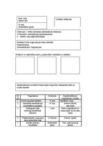 Diplomdarbs 'Trenera diplomprojekts stepaerobikā', 41.