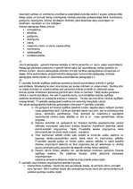 Konspekts 'Pedagoģijas vēsture', 14.