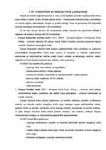 Referāts 'ES strukturālā un reģionālā politika', 7.