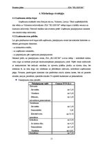 Biznesa plāns 'Biznesa plāns skaistumkopšanas salonam', 15.