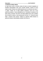 Biznesa plāns 'Biznesa plāns skaistumkopšanas salonam', 17.