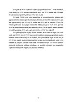 Referāts 'AS "Laima" tirgus izpēte', 14.