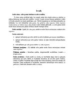 Referāts 'Zobu pastas ietekme uz zobu stiprumu', 5.