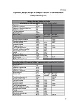 Biznesa plāns 'Viesnīcas "Bulciņas, kūciņas un gultiņas" finanšu rādītāju analīze', 9.