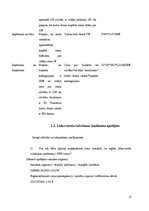 Biznesa plāns 'Viesnīcas "Bulciņas, kūciņas un gultiņas" finanšu rādītāju analīze', 11.