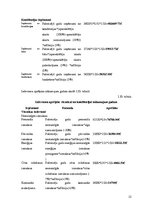 Biznesa plāns 'Viesnīcas "Bulciņas, kūciņas un gultiņas" finanšu rādītāju analīze', 15.