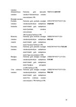 Biznesa plāns 'Viesnīcas "Bulciņas, kūciņas un gultiņas" finanšu rādītāju analīze', 16.