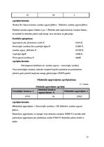 Biznesa plāns 'Viesnīcas "Bulciņas, kūciņas un gultiņas" finanšu rādītāju analīze', 27.