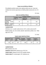 Biznesa plāns 'Viesnīcas "Bulciņas, kūciņas un gultiņas" finanšu rādītāju analīze', 29.