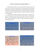 Referāts 'Bērna attīstība līdz divu gadu vecumam', 11.