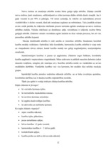 Referāts 'Bērna attīstība līdz divu gadu vecumam', 12.