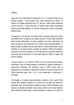 Referāts 'Starptautiskās NVO starptautiskajā un globālajā komunikācijā', 7.