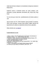 Referāts 'Starptautiskās NVO starptautiskajā un globālajā komunikācijā', 8.