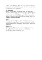 Konspekts 'Jaunās Derības grāmatas', 6.