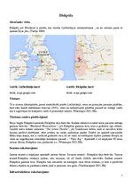 Konspekts 'Blekpūla', 1.